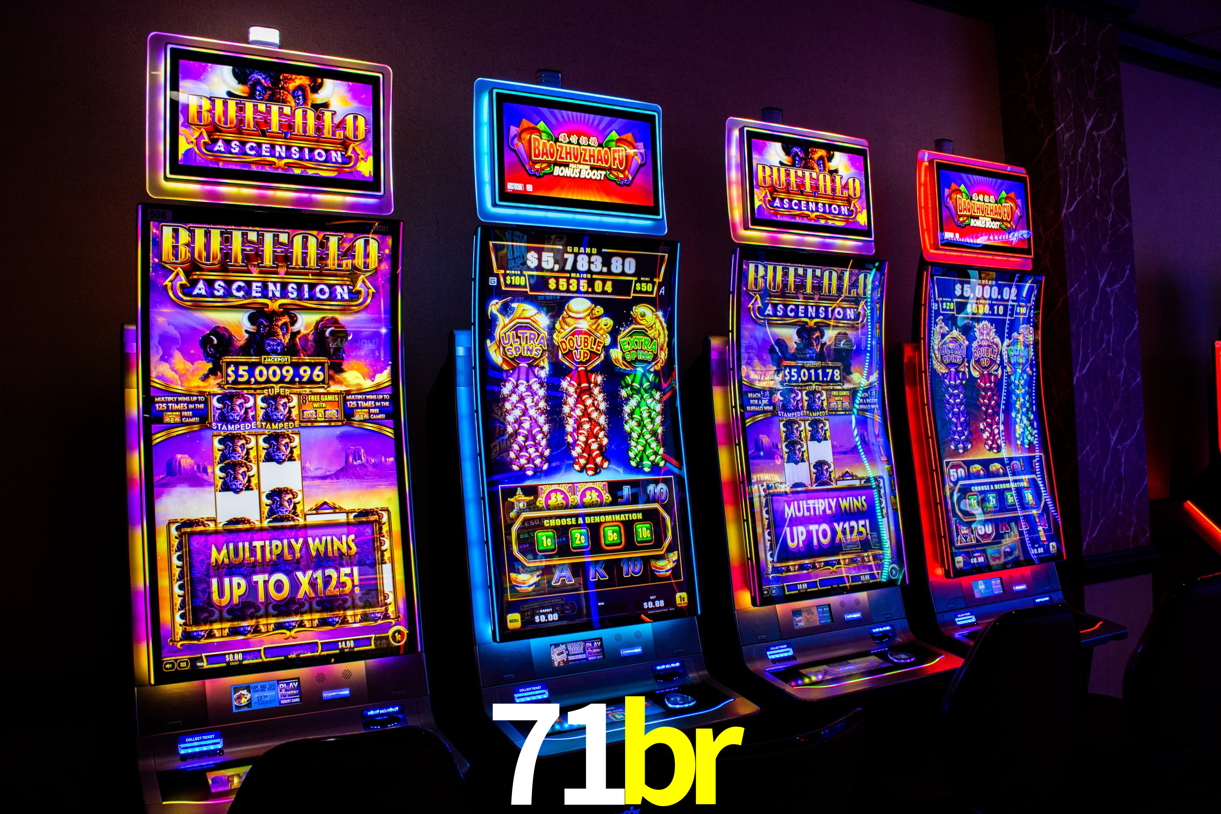 Football Betting 71br